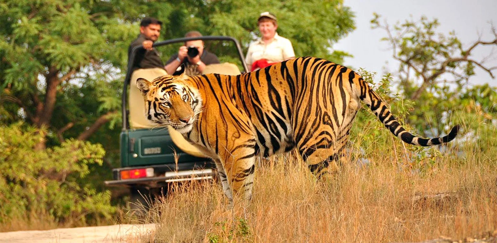 Nainital-Corbett Tour